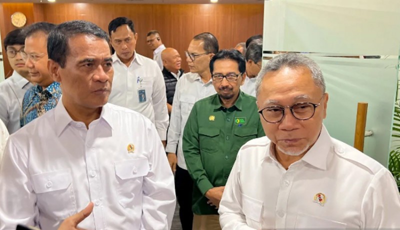 Program MBG Dongkrak Permintaan, Peternak Ayam Ras Kembali Bergairah!
